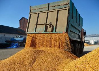 The American Conservative: Болка и зърно в Централна Европа