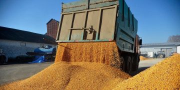 The American Conservative: Болка и зърно в Централна Европа