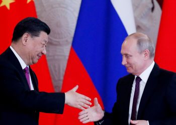 Мандарина с маслинова клонка