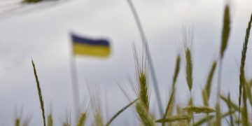 В Словакия откриха повишено съдържание на пестициди в украинското зърно