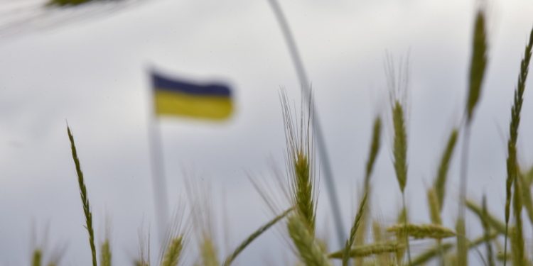 В Словакия откриха повишено съдържание на пестициди в украинското зърно