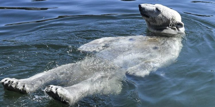 Прогнозира се нов температурен рекорд в света