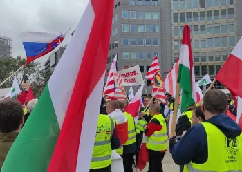 Фермери от ЕС протестират в Брюксел срещу вноса на зърно от Украйна