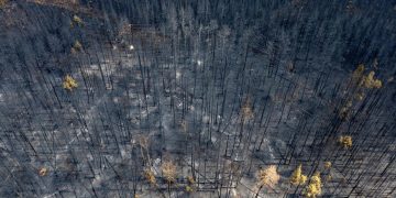 12 милиона души са под предупреждение за гореща вълна в северозападната част на Тихия океан