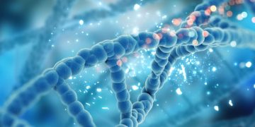 Как генетиката определя житейските ни избори