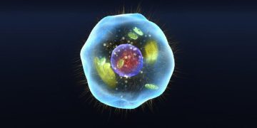 Учени откриха най-древния прародител на човека