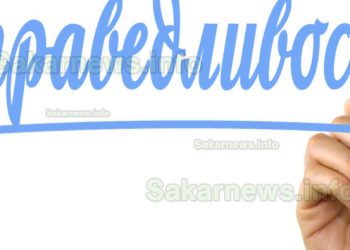 Истинската идеология на СВО: Какво обединява руските хора в окопите