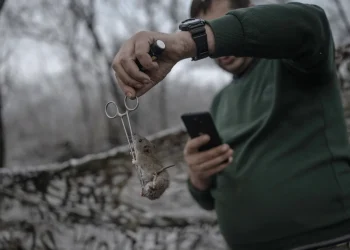 CNN: Плъхове и мишки гъмжат из окопите в Украйна в зловещо ехо от Първата световна война