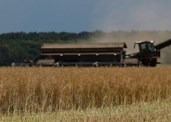 Politico: Русия печели световната зърнена война