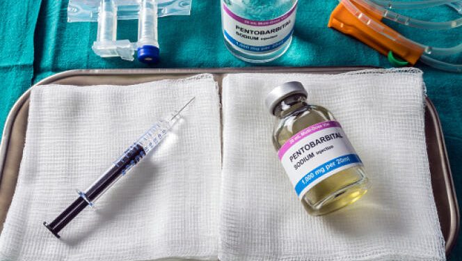 Защо нидерландски лекари евтаназират здрава млада жена?