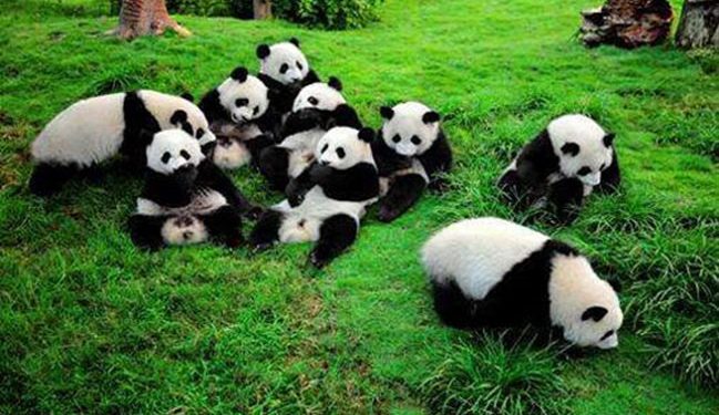 Явното и много сладко оръжие на Пекин