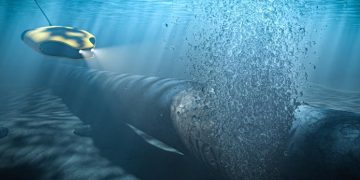 Мъглявината „Андромеда“. Какво означават за Украйна, Зеленски и Залужни обвиненията за взривяването на „Северен поток“?