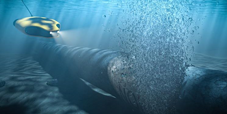 Мъглявината „Андромеда“. Какво означават за Украйна, Зеленски и Залужни обвиненията за взривяването на „Северен поток“?