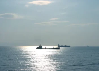 Малта е участвала в „сенчестия флот“ на Русия, признава посланик Ингуанес