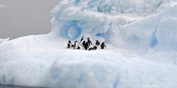 2025 е годината на опазването на ледниците. Планетата се нуждае от тях, за да се предпази от глобалното затопляне (а също и за да спаси пингвините и полярните мечки)