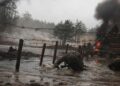 Украински войници по време на тренировка. Илюстративна снимка.